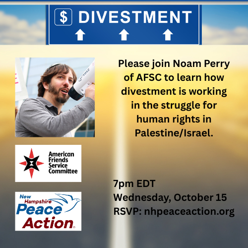 Divestment as a Tool for Change with Noam Perry