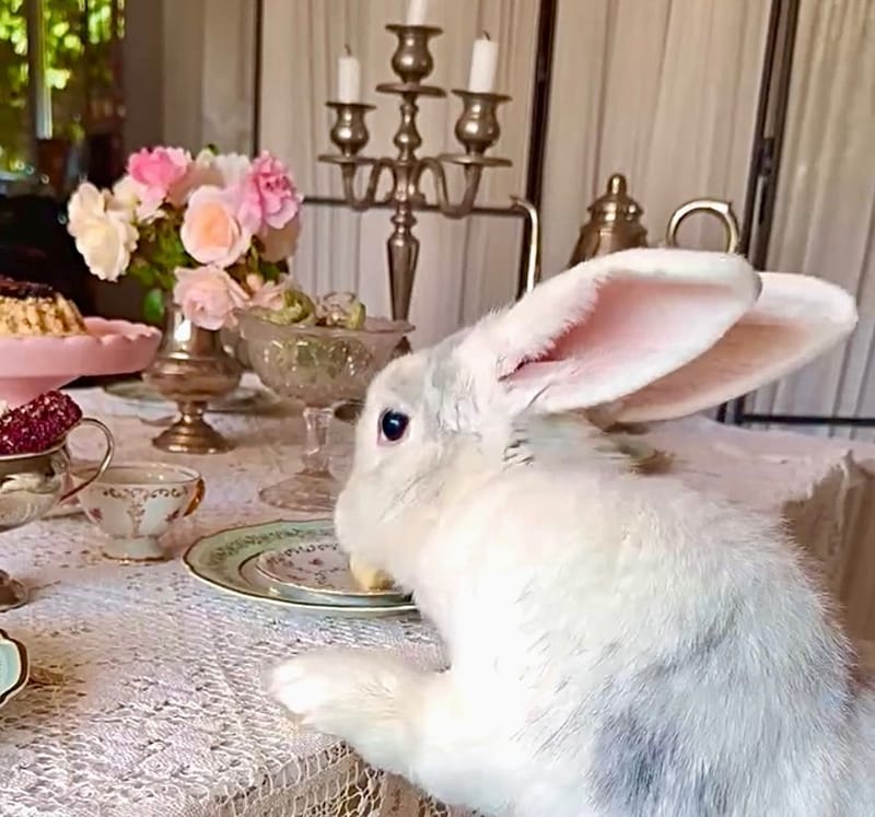 Lyxiga tillval ❤️