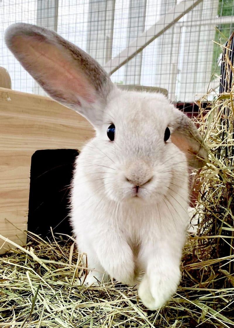 ❤️ Omsorg & Rutiner