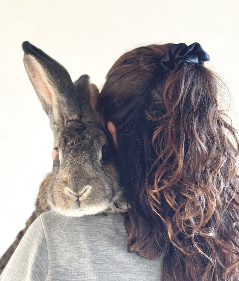 Vi är rädda om ditt djur❤️