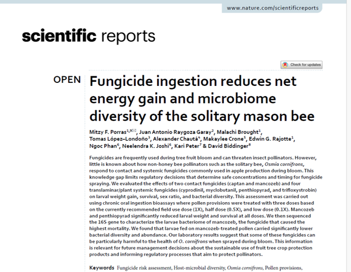 Fungicide ingestion reduces net energy gain and microbiome diversity of the solitary mason bee