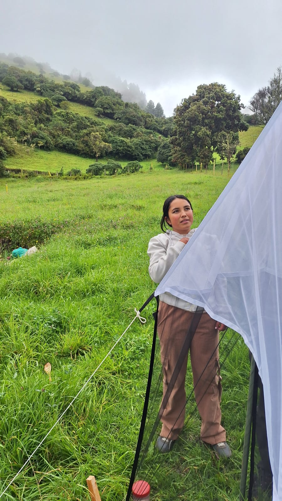 Science citizenship: charaterizing insect biodiversity in the tropic-Cundinamarca, Colombia.