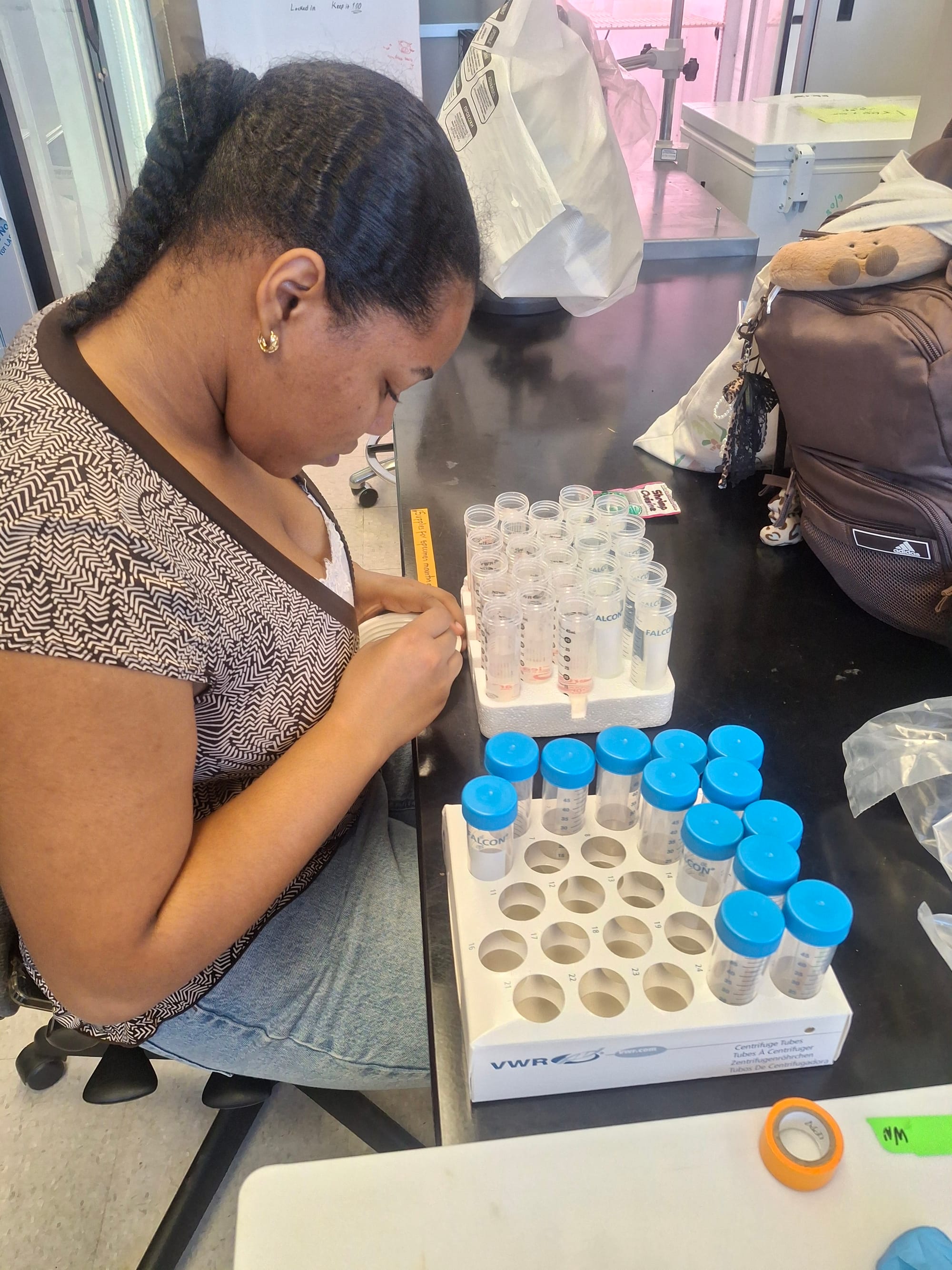 Effects of stressors on tadpole shrimp