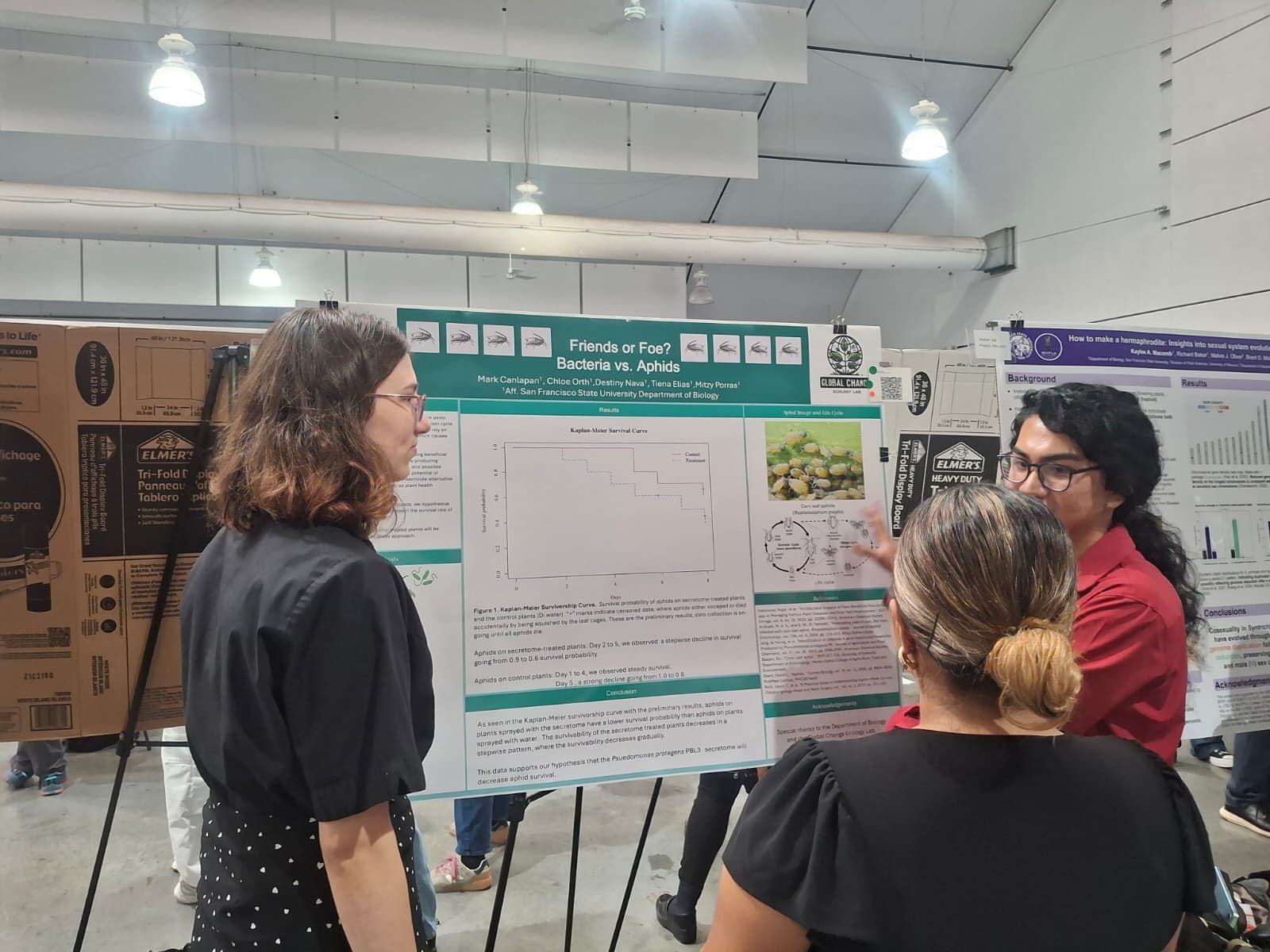 Effects of a bacteria on aphid fitness-Science Conference-College of Science and Eng/SFSU