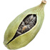 Cardamom