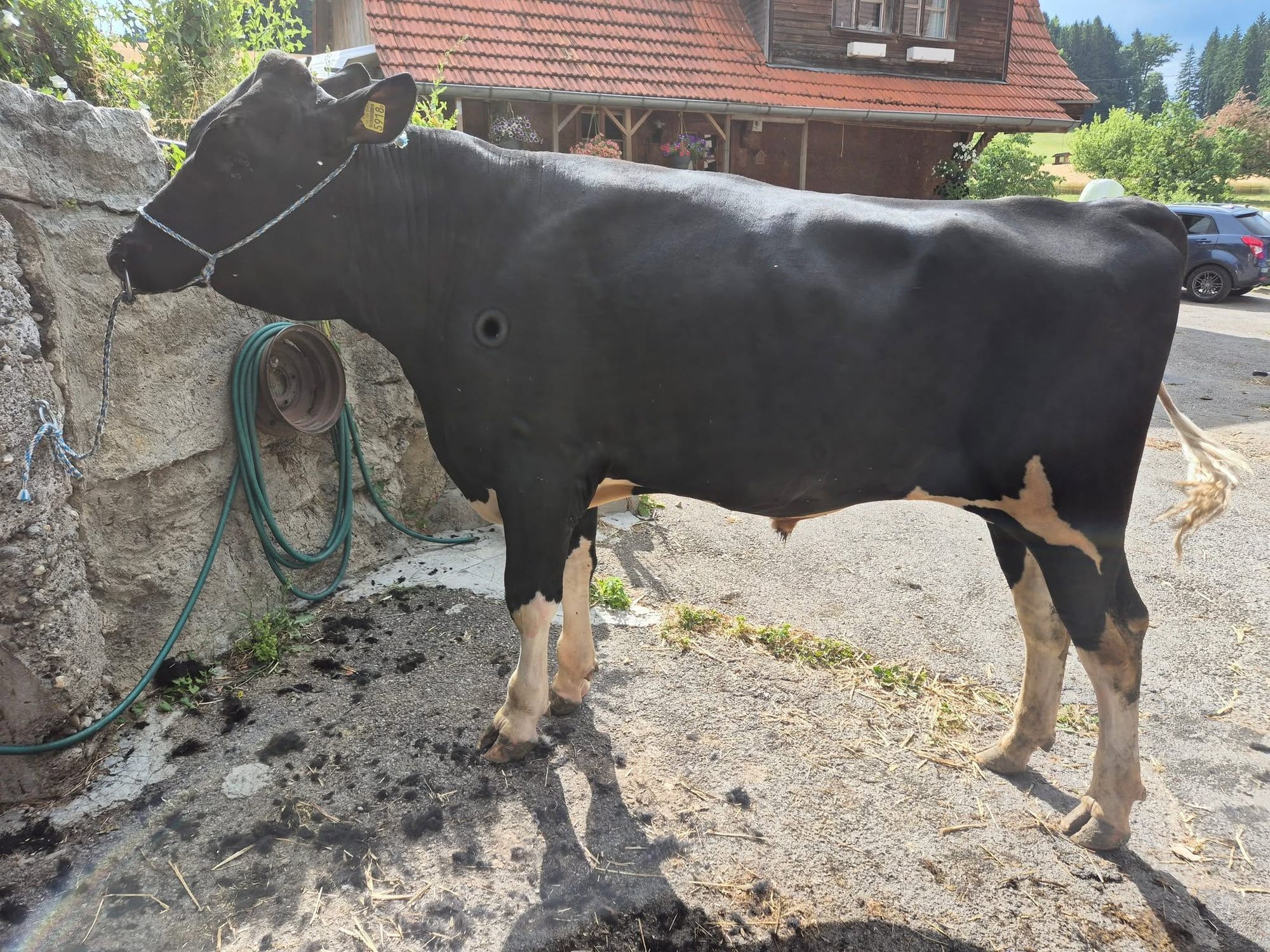 Wägis Black Jmper