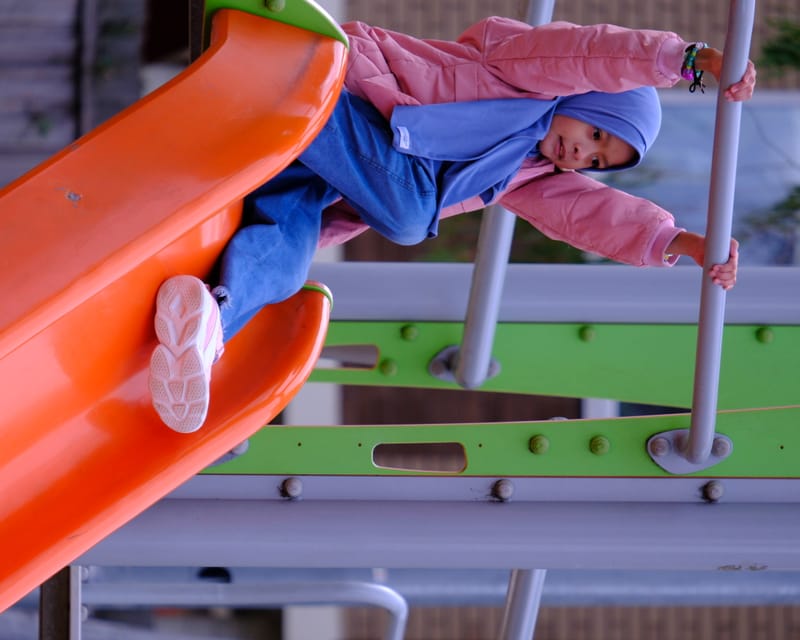 הבנת הוראות ועיבוד שמיעתי