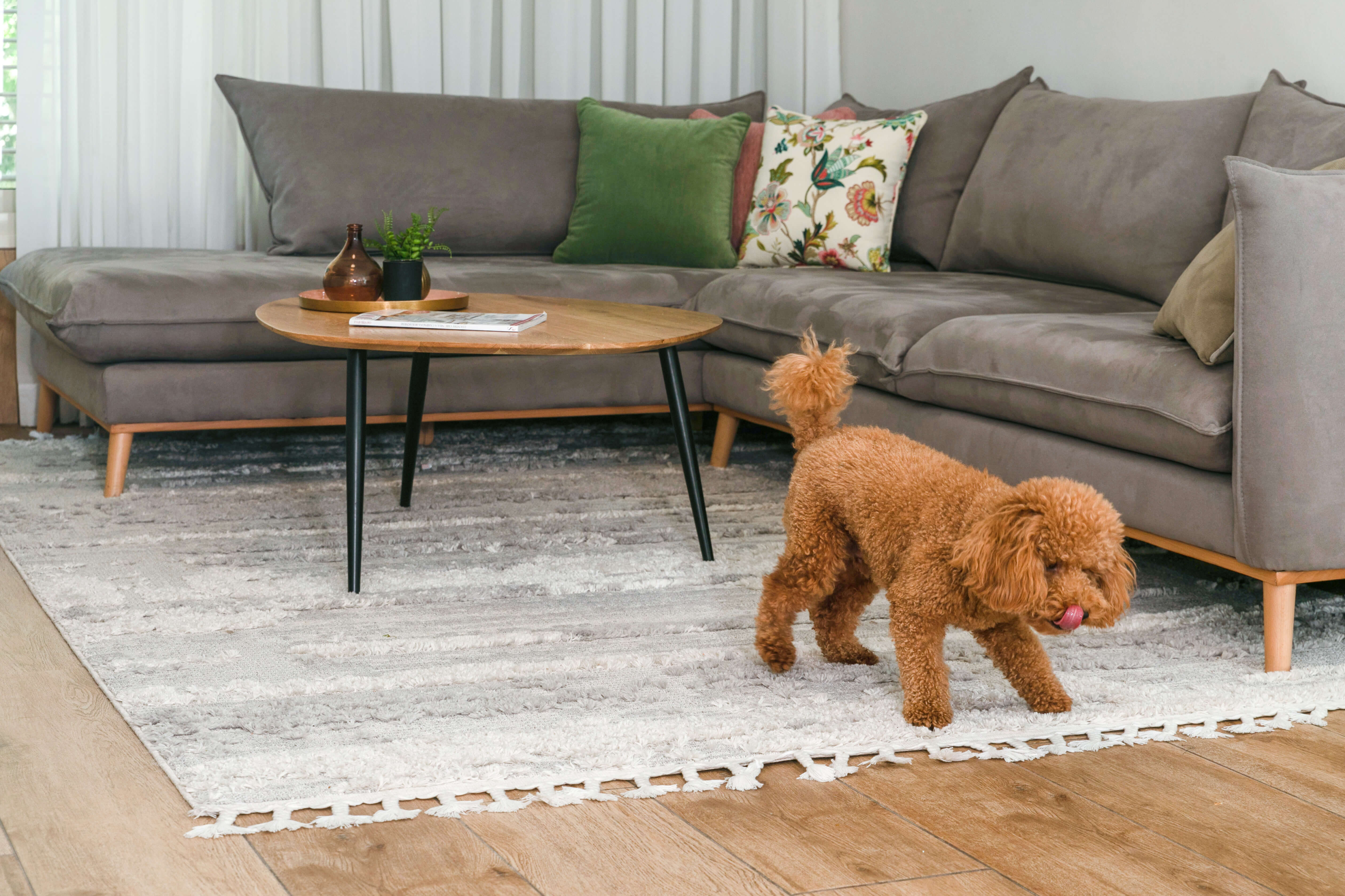 סלון מעוצב וידידותי למשפחה עם ספה אפורה גדולה, שטיח בהיר ושולחן עץ נמוך – עיצוב בתים למשפחות חגיתא.