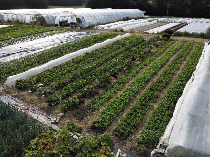 ייעוץ וליווי אישי