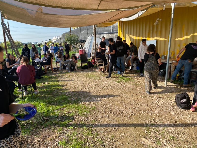 בתי ספר וילדים