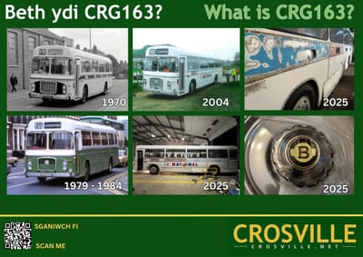  What is CRG163 image