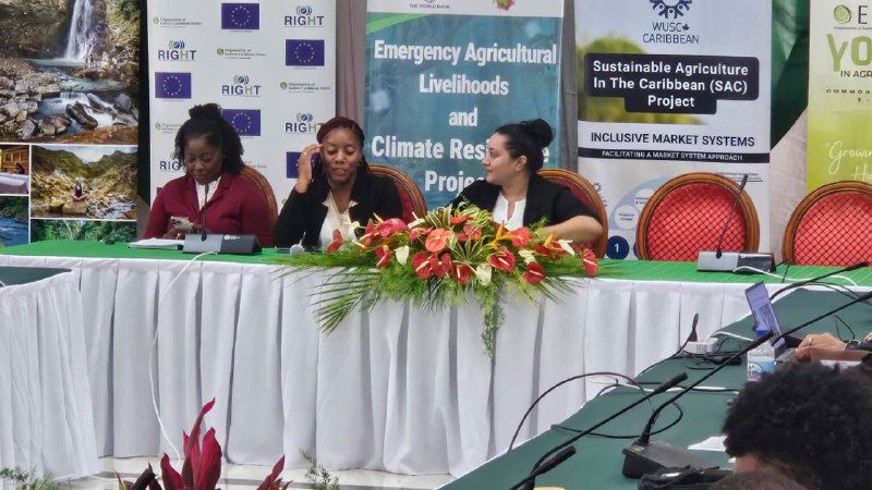 تلاش همگانی دومینیکا برای بهبود فناوری ها در مدارس - برای مشارکت دادن جوانان در کشاورزی