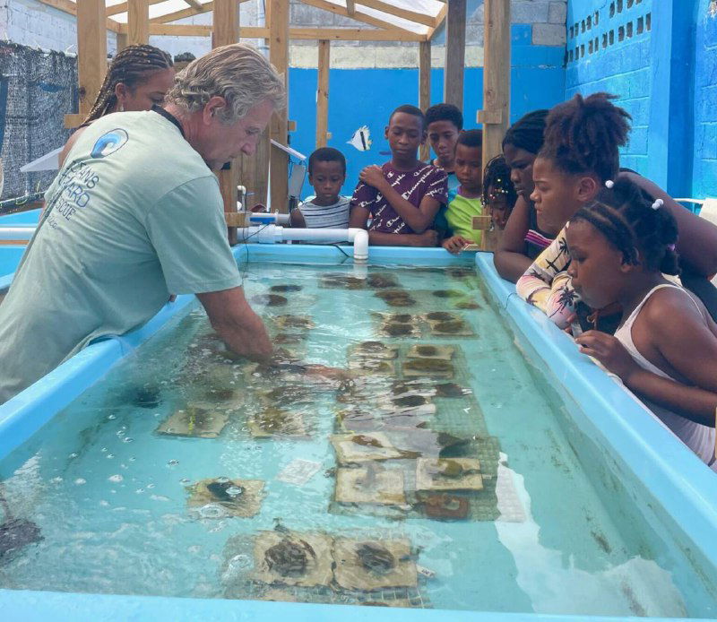 "Safe waves " در مراسم اختتامیه دستاوردهایش را جشن می گیرد و به آینده می نگرد