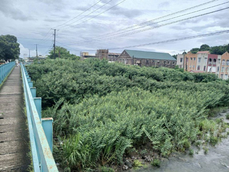 روز جهانی رودخانه ها