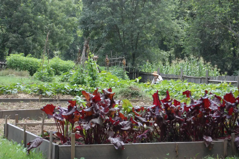 Colonial Pennsylvania Farmstead: Revolutionary Gardens