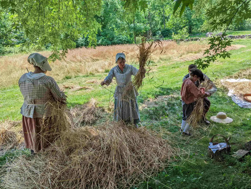 Colonial Pennsylvania Farmstead: Lammas