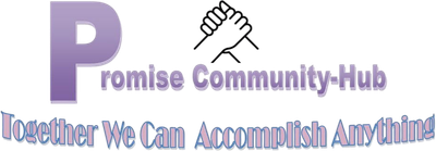 Promise-Community Hub