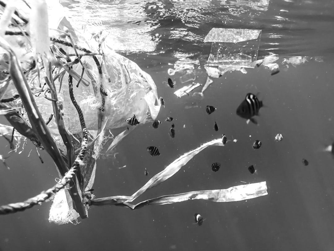 When it comes to nature, environmental protection laws are critical.