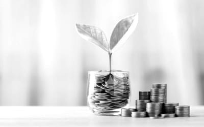 Exploring funding options for scaling companies.