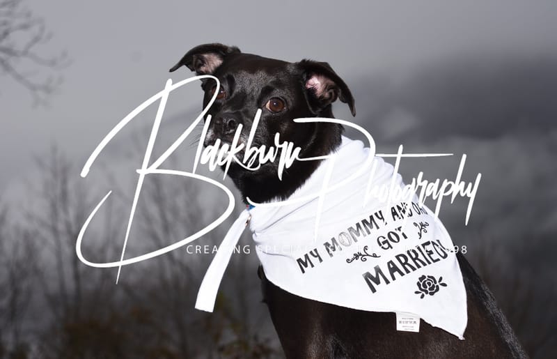 Nathan and Ellie 2021