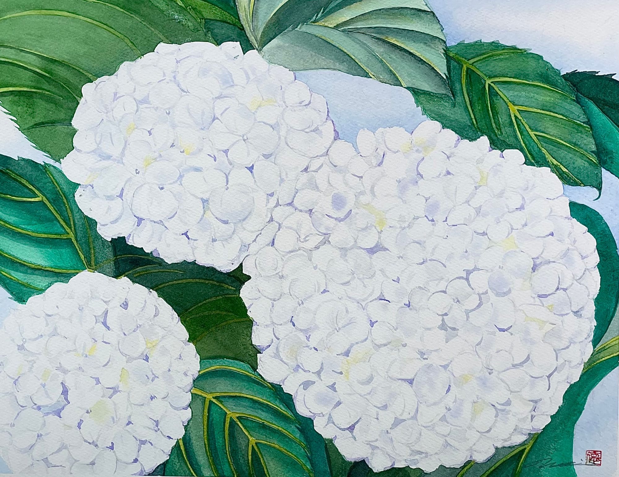 【手毬花 ─ 白が、ひそやかに光る。】