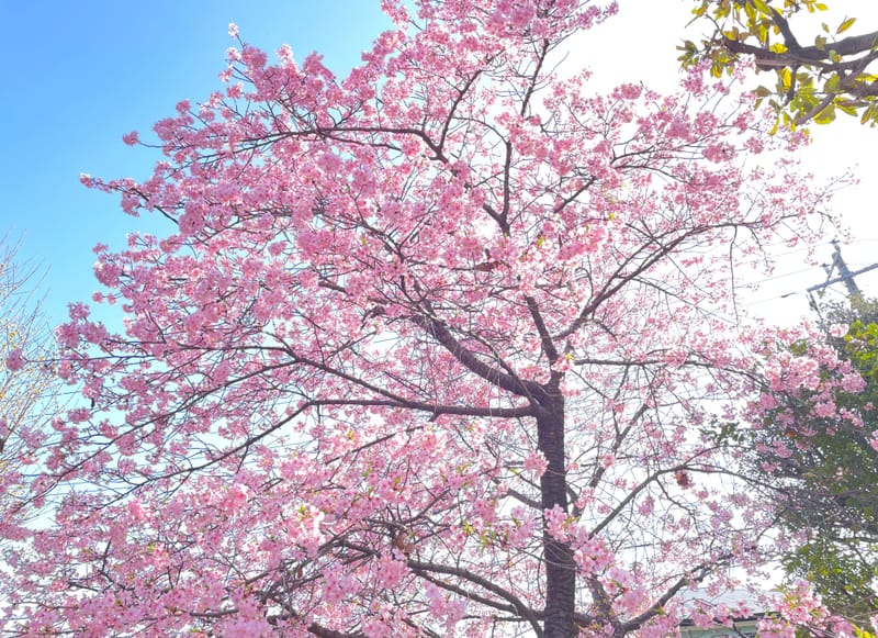 Roman Dream-天使の旅👼ローマの夢