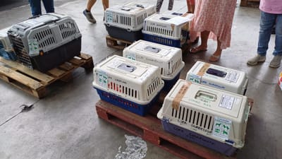 COPA DE CARGA Guadalupe y Dependencias del 28 de mayo de 2024