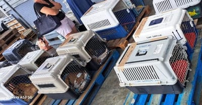 FRET Le COPA Guadeloupe et Dépendances du 19 juin 2024