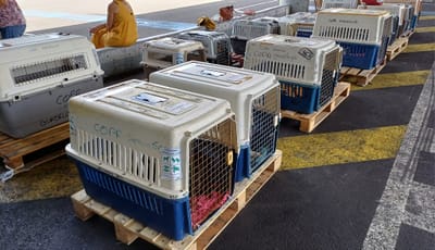 FRET Le COPA Guadeloupe et Dépendances du 21 juin 2024