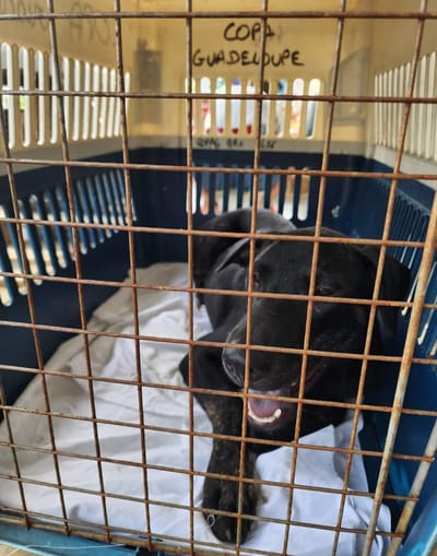 FRET Le COPA Guadeloupe et Dépendances du 19 août 2024