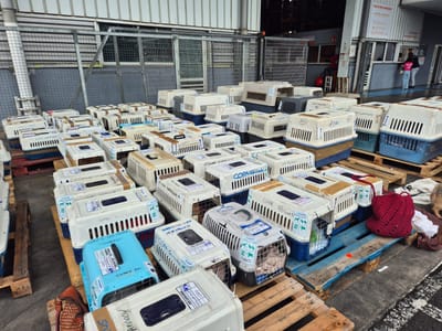 BILAN FRETS DE JANVIER : 219 vies vers un nouvel horizon !