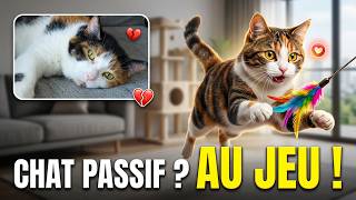 La stimulation mentale, essentielle pour un chat heureux