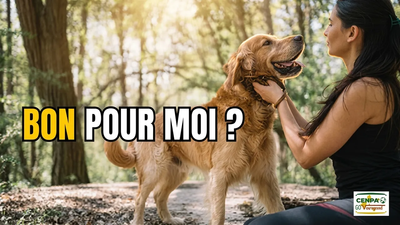 The secret power of your dog on your health