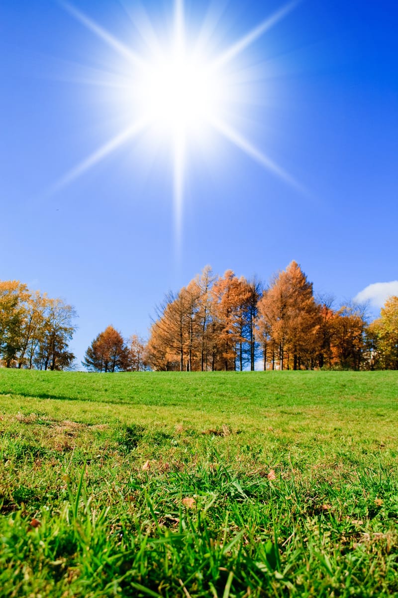 ☀️¡Tu pasaporte al éxito bilingüe este Verano-Otoño!🍂