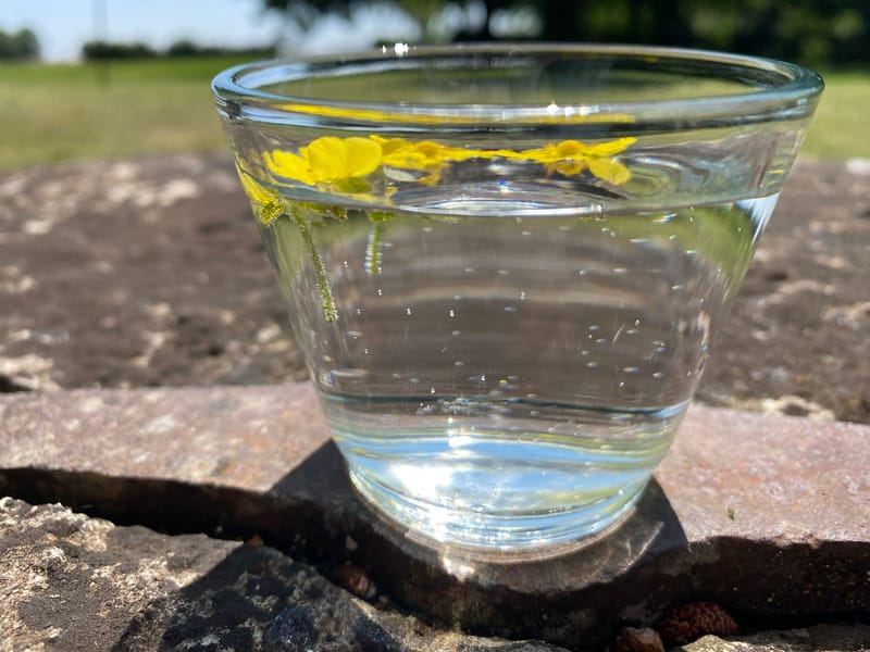 Sur le Terrain ... Le Perfectionnement