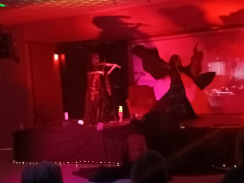 PROPOSTION N°3:  SPECTACLE poésie, danse EN INTÉRIEUR image
