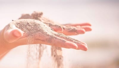 Gestión de la espera y resultados de la fecundación de los cultivos.