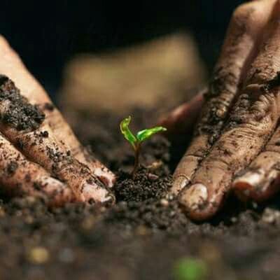 גינת התקווה- גינון ככלי טיפולי