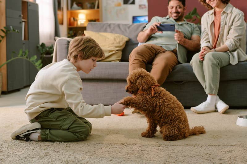 SPAh Day (Parenting)