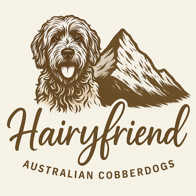 Hairy Friend Australian Cobberdog