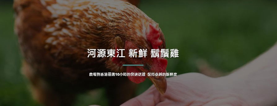 新鮮、品質、地道風味        河源東江 新鮮 鬍鬚雞