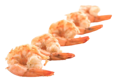 About 關於 image