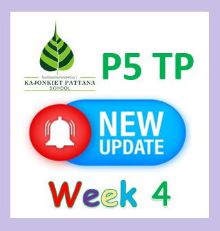 Week 4 Update: 10th November 2025