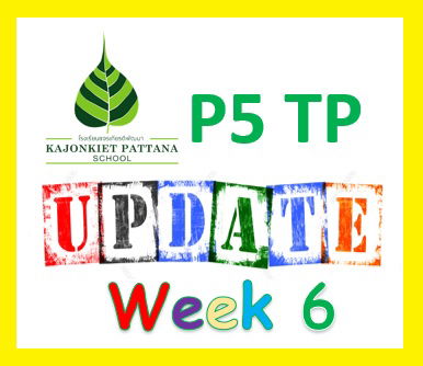 WEEK 6 Update: 16th June 2025