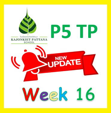 WEEK 16 Update: 25th August 2025