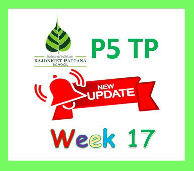 WEEK 17 Update: 1st September 2025