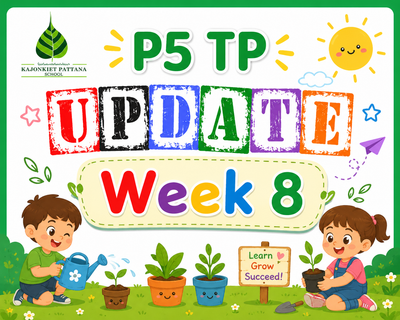Week 8 Update, 29th June 2026