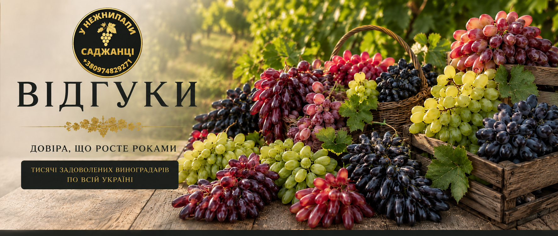 ВІДГУКИ НАШИХ КЛІЄНТІВ