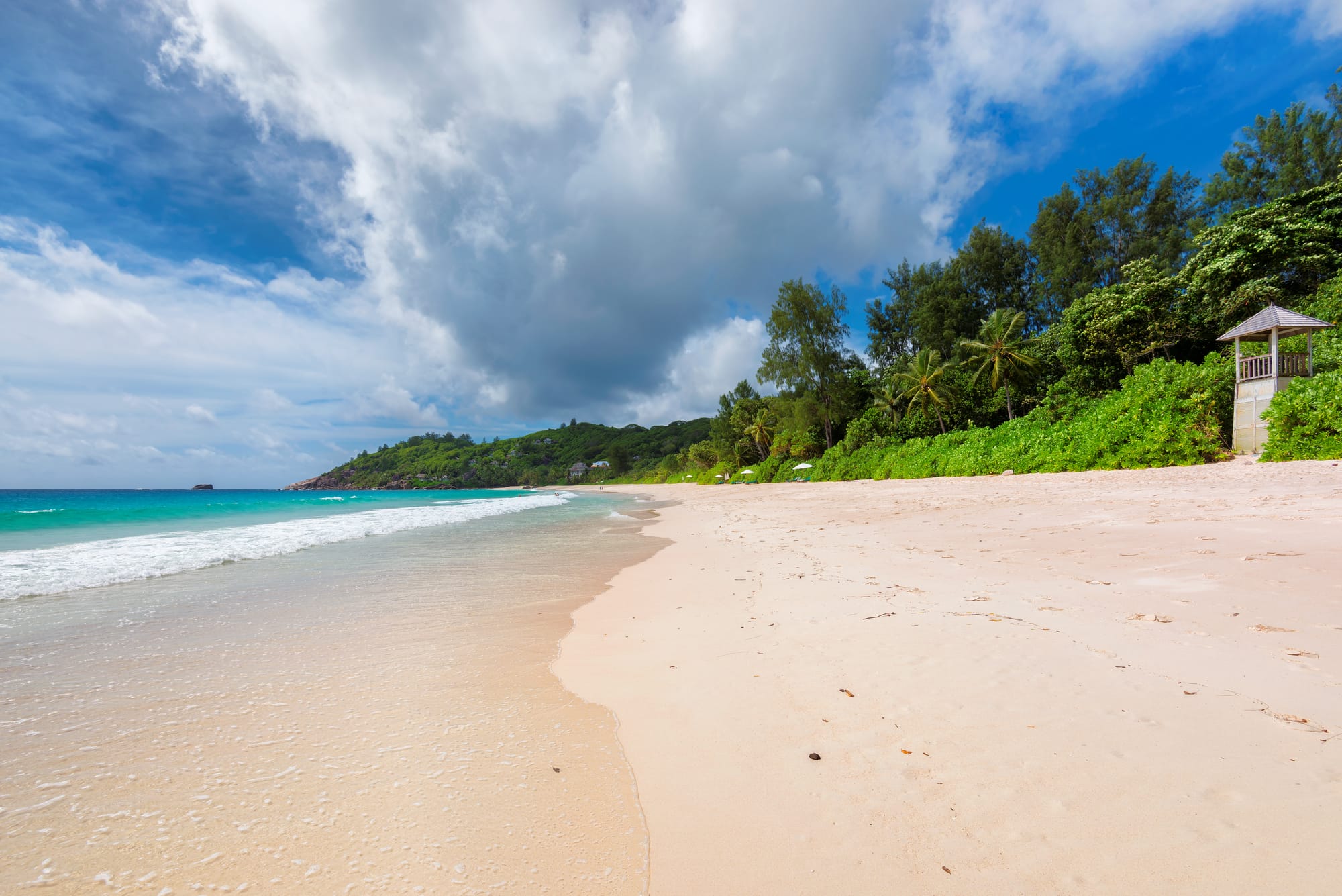 הסיפור של הספר שאני כותבת