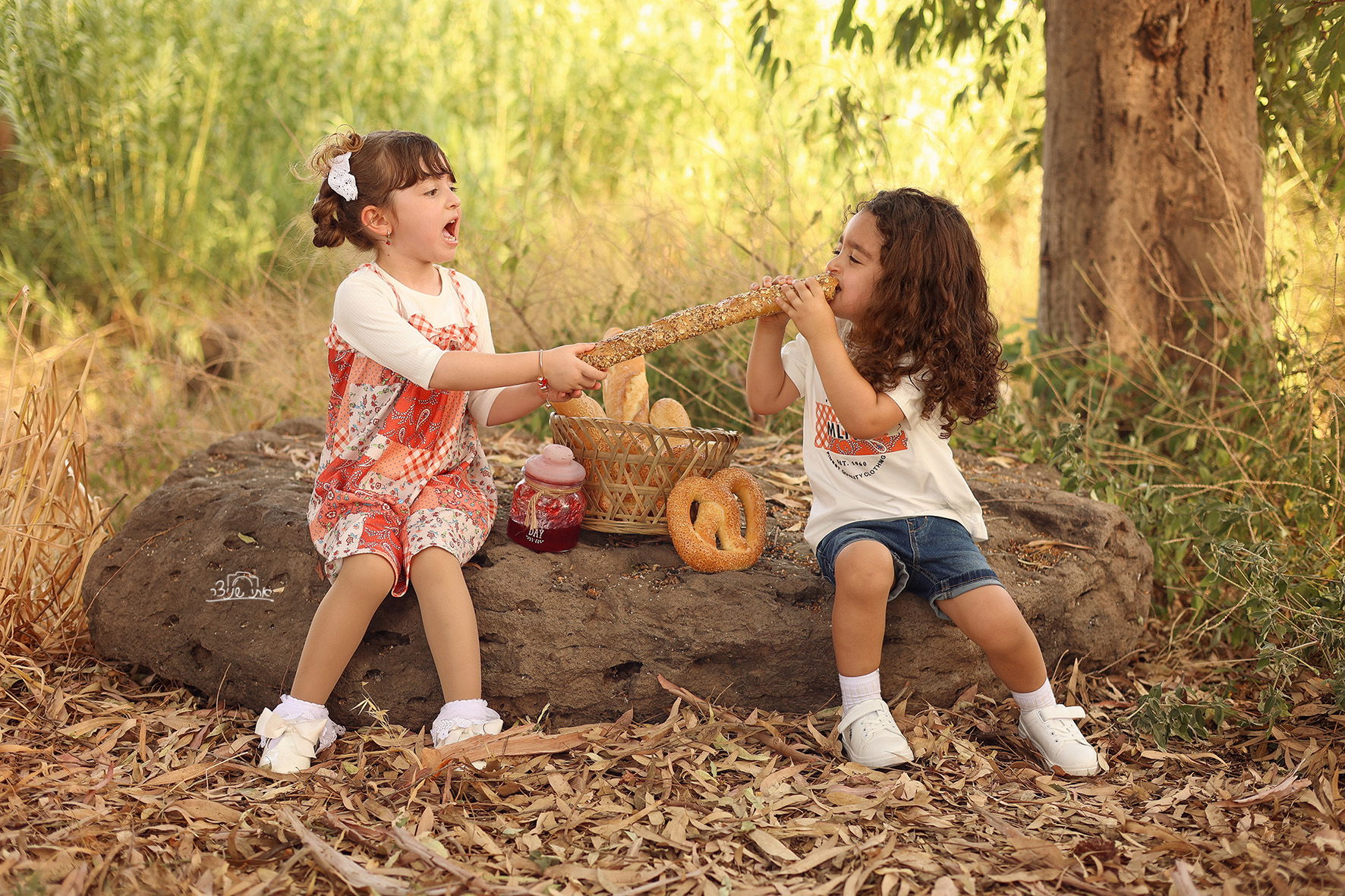 צילומי חלאקה משולבים בתמונות משפחתיות